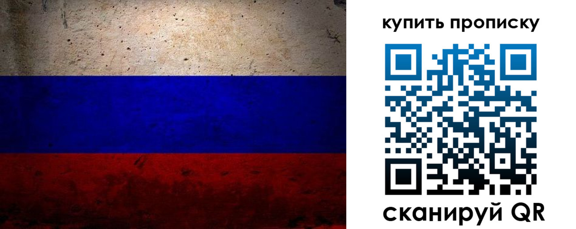 регистрация в Курской области